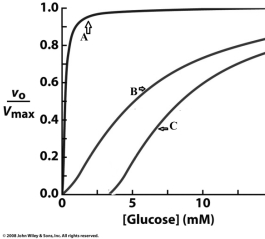 <strong>Based on the information given in the chapter complete the following statement about the graph shown below: The curve labeled ___ corresponds to activity of glucokinase under conditions with no inhibition.The binding of ____ to the regulating protein would result in kinetic behavior represented by curve ____. </strong> A)B; F6P; A B)A; glucose; B C)B; F6P; C D)C; F6P; B E)B; glucose; C