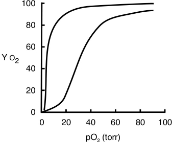 The graph below shows the O<sub>2</sub>-binding curves for myoglobin (Mb)and hemoglobin (Hb). a.Label the two curves (indicate which one represents Mb and which one represents Hb). b.Use the graph to determine the K<sub>d</sub> of myoglobin for O<sub>2</sub> (show your approach). c.What is the difference between myoglobin and hemoglobin that cause the O<sub>2</sub>-binding curves to so be different? d.Why is it important that hemoglobin has these particular O<sub>2</sub>-binding characteristics?
