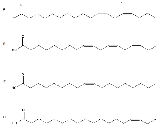 <strong>Which of the structures below is an example of an \omega -3 polyunsaturated fatty acid? </strong> A)Structure A B)Structure B C)Structure C D)Structure D E)None of the above