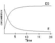 <strong>The following data were collected under conditions indicated in the graph below during the time period of 0-5 seconds.Upon plotting the Lineweaver-Burk plot,the information given in the table below was determined.Based on this available information which of the following is FALSE? X-intercept - 0.002 (Units on the x-axis are 1/M) Y-intercept 0.005 (Units on the y-axis are 1/s) Slope 2.50 </strong> A)The V<sub>max</sub> equals 200 M/s B)The Ks equals 500 M C)The k<sub>app </sub>equals 200 per second D)The data was collected prior to reaching steady state. E)The k<sub>cat</sub><sub> </sub> cannot be determined for this information.