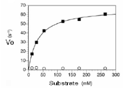 <strong>In the plot below,can the K<sub>M</sub> be determined? If so,what is its value? </strong> A)Yes,it is 30 mM. B)Yes,it is 30 mM/sec. C)Yes,it is 60 mM/sec D)Yes,it is 60 mM E)No this data does not follow Michaelis-Menten kinetics