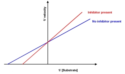 <strong>A new drug has been discovered which inhibits the reaction catalyzed by enzyme A.Based on the information shown below,what is this drug? </strong> A)competitive inhibitor B)uncompetitive inhibitor C)mixed inhibitor D)allosteric activator E)More information is required to answer the question.