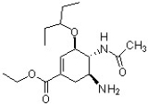 The structure of Tamiflu, an antiinfluenza drug, is shown below (Organic Lett. \textbf{ 2007, } 259). Circle and identify each functional group in Tamiflu.