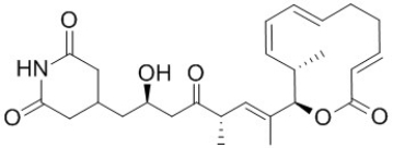 <strong>Shown below is the structure of Lactimidomycin, a potent inhibitor of cell migration, proliferation and protein synthesis. Identify the carboxylic acid derivative/s in the structure of Lactimidomycin.  </strong> A) Ester B) Anhydride C) Nitrile D) Imine <div style=padding-top: 35px> 