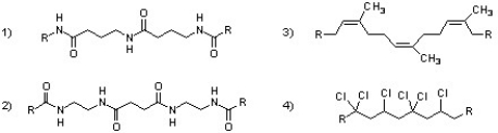 <strong>Which of the following polymers can be classified as copolymers? </strong> A) 1 & 2 B) 2 & 4 C) 1 & 4 D) 2 & 3 E) 1, 3, & 4