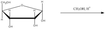 What is the major organic product of the following reaction?  