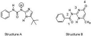 The compounds below are base pairs used to form supramolecular polymers (Org. Lett. 2011, 240). They are held together by three intermolecular hydrogen bonds and each contains one intramolecular hydrogen bond. Which atom in structure B forms a hydrogen bond with the circled hydrogen in structure A?