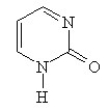 <strong>Which of the following structures, if flat, would be classified as antiaromatic?</strong> A) B) C) D) E)