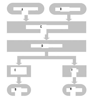 MATCHING Refer to the following figure:   a. MRP b. Demand Management c. Purchasing g. Production d. Sales Forecasting e. Detailed Scheduling f. Starting Inventory h. Sales and Operations Planning What is A?<div style=padding-top: 35px> 