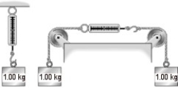 <strong>FIGURE 6-2 In Figure 6-2 the scale at left is attached to the ceiling and a mass of 1.00 kg hangs from it. It reads 9.81 N. The identical scale at the right is connected by perfect strings passing over perfect pulleys to two 1.00 kg masses hanging vertically at the end of the strings. The scale at right reads</strong> A) exactly 9.81 N. B) more than 9.81 N, but not quite twice as much. C) less than 9.81 N. D) exactly 19.62 N. E) more than 19.62 N.