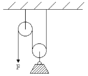 FIGURE 6-7 A 30.0-kg load is being lifted with constant speed using the ideal pulley arrangement shown in Figure 6-7. What is the magnitude of the force F?