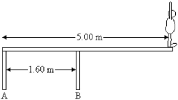 <strong>FIGURE 11-5 An 82.0 kg-diver stands at the edge of a light 5.00-m diving board, which is supported by two pillars 1.60 m apart, as shown in Figure 11-5. Find the force exerted by pillar A.</strong> A) 1.71 kN downwards B) 1.71 kN upwards C) 2.51 kN downwards D) 2.51 kN upwards E) 3.44 kN upwards