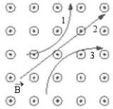 <strong>FIGURE 22-1 Three particles travel through a region of space where the magnetic field is out of the page, as shown in Figure 22-1. The electric charge of each of the three particles is, respectively,</strong> A) 1 is neutral, 2 is negative, and 3 is positive. B) 1 is neutral, 2 is positive, and 3 is negative. C) 1 is positive, 2 is neutral, and 3 is negative. D) 1 is positive, 2 is negative, and 3 is neutral. E) 1 is negative, 2 is neutral, and 3 is positive.