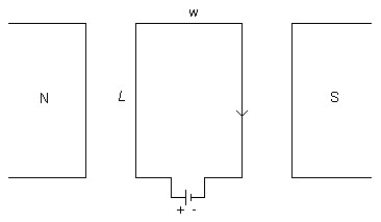 <strong>FIGURE 23-5 A rectangular loop of wire carrying a current of 2.0 A that can rotate is placed in a magnetic field whose strength is 0.40 T, as shown in Figure 23-5. The length of the loop L is 0.16 m and its width w is 0.04 m. What is the magnetic flux through the loop when the plane of the loop is parallel to the magnetic field?</strong> A) -2.6 × 10<sup>-3</sup> T∙m<sup>2</sup> B) +2.6 × 10<sup>-3</sup> T∙m<sup>2</sup> C) 0 T∙m<sup>2</sup> D) -1.3 × 10<sup>-3</sup> T∙m<sup>2</sup> E) 1.3 × 10<sup>-3</sup> T∙m<sup>2</sup>