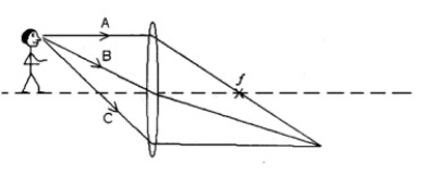 FIGURE 26-3 Diff: 1 Var: 1 Page Ref: Sec. 26-6 A 3.0 cm tall statue is 48. cm in front of a biconvex lens (focal length 20. cm). (a) Is the image real or virtual? (b) How far is the image from the lens? (c) Is the image upright or inverted? (d) How high is the image?