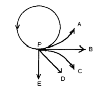 <strong>A girl attaches a rock to a string,which she then swings counter-clockwise in a horizontal circle.The string breaks at point P in the figure,which shows a bird's-eye view (as seen from above).Which path (A-E)will the rock follow? </strong> A)Path A B)Path B C)Path C D)Path D E)Path E