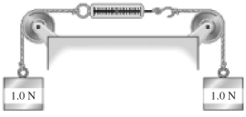 <strong>In the figure,what does the spring scale read? The pulleys are ideal and the strings and scale are also massless. </strong> A)exactly 2.0 N. B)exactly 1.0 N C)0.50 N D)0.00 N E)more than 19.6 N
