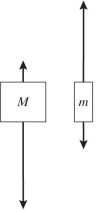 <strong>Two objects of unequal masses,M and m (M > m),are connected by a very light cord passing over an ideal pulley of negligible mass.When released,the system accelerates,and friction is negligible. Which one of the following free-body diagrams most realistically represents the forces acting on the two objects in the moving system?</strong> A) B) C) D)