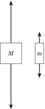 <strong>Two objects of unequal masses,M and m (M > m),are connected by a very light cord passing over an ideal pulley of negligible mass.When released,the system accelerates,and friction is negligible. Which one of the following free-body diagrams most realistically represents the forces acting on the two objects in the moving system?</strong> A) B) C) D)