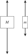 <strong>Two objects of unequal masses,M and m (M > m),are connected by a very light cord passing over an ideal pulley of negligible mass.When released,the system accelerates,and friction is negligible. Which one of the following free-body diagrams most realistically represents the forces acting on the two objects in the moving system?</strong> A) B) C) D)