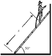 <strong>In the figure,a uniform ladder of weight 200 N and length 10 m leans against a perfectly smooth wall.A firefighter of weight 600 N climbs a distance x up the ladder.The coefficient of static friction between the ladder and the floor is 0.50.What is the maximum value of x for which the ladder will not slip? </strong> A)3.9 m B)5.0 m C)6.0 m D)6.3 m E)8.4 m
