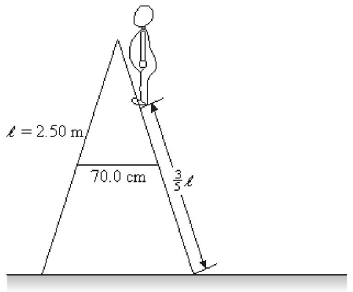 <strong>A stepladder consists of two halves that are hinged at the top and connected by a tie rod which keeps the two halves from spreading apart.In this particular instance,the two halves are 2.5 m long,the tie rod is connected to the center of each half and is 70 cm long.An 800-N person stands 3/5 of the way up the stepladder,as shown in the figure.The ladder is light enough that we can neglect its weight,and it rests on an extremely smooth floor.What is the tension in the tie rod? (Note: To solve this problem,it is helpful to imagine cutting the ladder in half vertically and consider the forces and torques acting on each half of the ladder. ) </strong> A)140 N B)240 N C)280 N D)360 N E)560 N