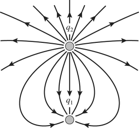 <strong>Two stationary point charges q<sub>1</sub> and q<sub>2</sub> are shown in the figure along with a sketch of some field lines representing the electric field produced by them.What can you deduce from the sketch? </strong> A)q<sub>1</sub> is negative and q<sub>2</sub> is positive;the magnitudes are equal. B)q<sub>1 </sub>and q<sub>2</sub> have the same sign;the magnitudes are equal. C)q<sub>1 </sub>is positive and q<sub>2</sub> is negative;the magnitude of q<sub>1</sub> is greater than the magnitude of q<sub>2</sub>. D)q<sub>1 </sub>is negative and q<sub>2</sub> is positive;the magnitude of q<sub>1 </sub>is less than the magnitude of q<sub>2</sub>. E)q<sub>1 </sub>and q<sub>2</sub> have the same sign;the magnitude of q<sub>1</sub> is greater than the magnitude of q<sub>2</sub>.