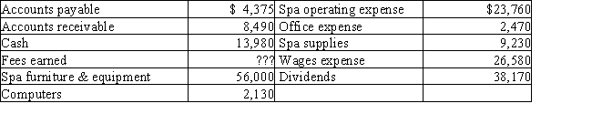 The assets and liabilities of Rocky's Day Spa at December 31 and expenses for the year are listed below.The stockholders' equity was $68,000 ($48,000 in Common Stock and $20,000 in Retained Earnings)at January 1.The shareholders invested in an additional $10,000 of common stock during the year.Net income for the year is $45,625. Prepare an income statement for Rocky's Day Spa for the current year ended December 31.