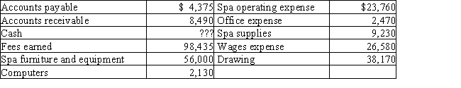 The assets and liabilities of Rocky's Day Spa on December 31 and its revenue and expenses for the year are listed below.The capital of the owner was $68,000 on January 1.The owner invested an additional $10,000 during the year. Prepare a balance sheet for the year ended December 31.
