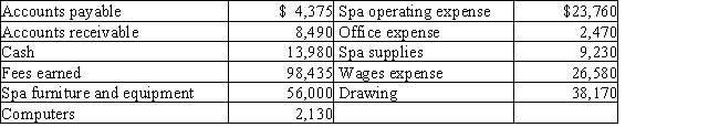 The assets and liabilities of Rocky's Day Spa on December 31 and its revenue and expenses for the year are listed below.The capital of the owner is $68,000 on January 1.The owner invested an additional $10,000 during the year. Prepare a statement of owner's equity for the current year ended December 31.