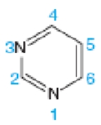 <strong>The structure in the figure below is an example of</strong> A)a pyrimidine. B)a purine. C)guanine. D)adenine. E)ribose.
