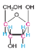 <strong>The following structure is an example of</strong> A)deoxyribose. B)ribose. C)adenine. D)guanine. E)thymine.
