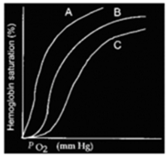 <strong>Curve B below represents the oxygen-hemoglobin dissociation curve for normal body temperature, arterial hydrogen ion concentration, and DPG concentration. </strong> A) Curve A may represent the dissociation at higher than normal arterial H+ concentration. B) Curve C may represent the dissociation at lower than normal body temperature. C) Curve A may represent the dissociation at very low 2,3 diphosphoglycerate levels. D) Curve C may represent the dissociation at lower than normal arterial H+ concentration. E) Curve A may represent the dissociation at higher than normal body temperature.