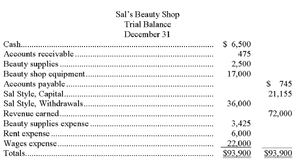 Based on the following trial balance for Sal's Beauty Shop, prepare an income statement, statement of owner's equity, and a balance sheet. Sal made no additional investments in the company during the year.