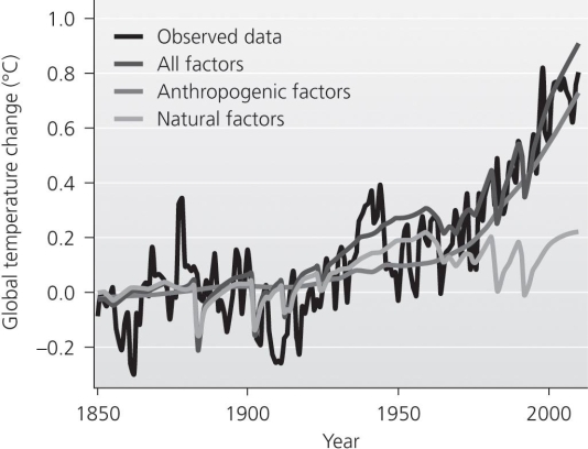 <strong> Use the accompanying figure to answer the following questions. If anthropogenic factors continue to increase, then in the future _.</strong> A)the lines for all three models should level out B)the lines for all three models and for observed data should show marked decreases C)all of the lines will look more like the line for observed data D)the lines for all three models should show decreases while the observation line would be expected to increase E)the temperature trends shown in the figures should continue