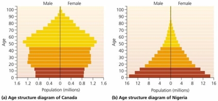 <strong> Use the figure above to answer the following question The population in part (a) is likely to experience ____________ soon.</strong> A) more senior citizens B) exponential population growth C) government institution of a population control policy D) resource depletion and decreased quality of life E) more single males