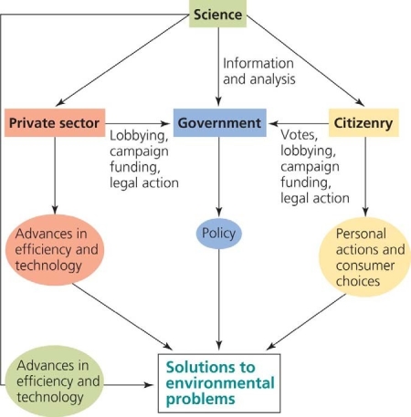<strong> Use the figure above to answer the following question. According to the figure, the basis for government policy regarding environmental issues _____________</strong> A) comes only from the natural and social sciences and is acted upon without bias B) comes from both the public and the private sectors C) comes primarily from the private sector D) comes from the sciences, with additional input from the public and private sectors E) is primarily driven by lobbying