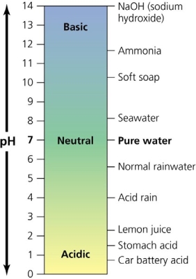 <strong> Use the figure above to answer the following question. The pH of stomach acid suggests that it _____________</strong> A) would be harmful to living organisms ingested with food B) is inside the biological range of pH values C) must be very close to the pH of other body fluids D) is an excellent environment for bacteria and fungi to multiply E) has a very high concentration of hydroxide ions