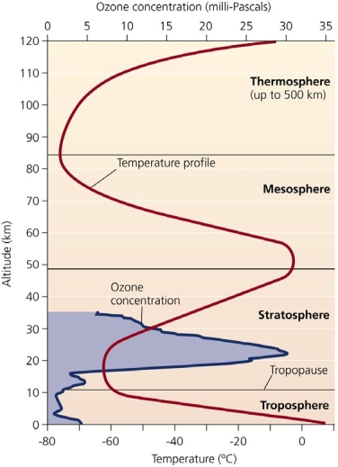 <strong> Use the figure above to answer the following question The figure shows that ___________.</strong> A) temperature decreases uniformly throughout the atmosphere B) the mesosphere and troposphere are at the same altitude C) ozone concentration reaches its highest level in the thermosphere D) temperature increases uniformly throughout the atmosphere E) peak ozone levels in the stratosphere correlates with rising temperature