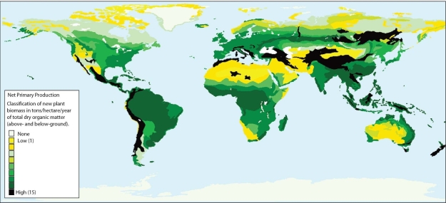   -In general,global primary productivity