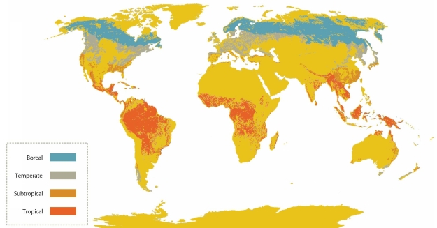<strong> The map in this figure represents the location of the world's major</strong> A)prairie/grassland biomes. B)forest biomes. C)biomes severely impacted by drought. D)desert biomes.