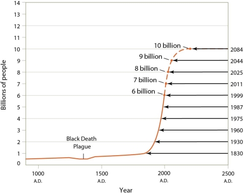 <strong> Based upon the information presented in this figure,which of the following revolutions did not contribute to a sharp increase in human population?</strong> A)Industrial Revolution B)Medical Revolution C)Green Revolution D)Neolithic Revolution
