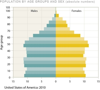 <strong> In this figure,the width of each bar includes a measure of the</strong> A)total fertility of the age group. B)age of first reproduction of the age group. C)mortality within the age group. D)size of the family of women of reproductive age.