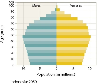 <strong> The age structure of the country in this figure reflects</strong> A)an increasing fertility rate. B)a fertility rate that has declined. C)the impact of increased immigration into the country. D)a war or pandemic sometime between 50-70 years ago.