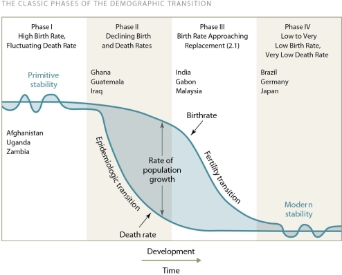 <strong> Examine this figure.Which revolution was most responsible for the shift from phase I to phase II?</strong> A)Industrial Revolution B)Green Revolution C)Neolithic Revolution D)Medical Revolution