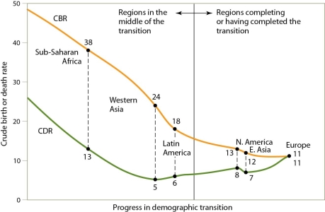 <strong> How would we expect a Latin American country to change if it became industrialized and significantly increased per capita income?</strong> A)The red line would stay about the same,but the green line would rise to above the red line. B)The green line would stay about the same,but the red line would drop to near the green level. C)The red line would stay about the same,but the green line would rise to just below the red line. D)The green and red lines would both drop below current levels.