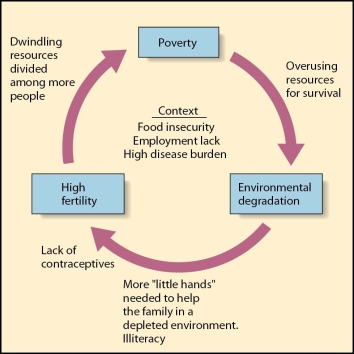 <strong> Examine the relationships between poverty,environmental degradation,and fertility.We would expect that increased industrialization and development would affect the poverty cycle by</strong> A)increasing available resources permitting larger family sizes. B)decreasing the use of natural resources. C)increasing the demand for food. D)increasing the use of contraceptives.