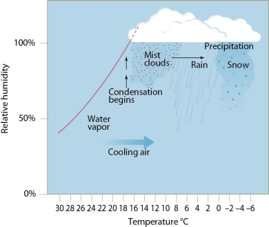 <strong> In the figure,blue water is represented by</strong> A)rain. B)clouds. C)water vapor. D)clouds and water vapor.