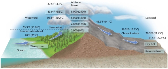 <strong> Compared to the windward side,the leeward side of this mountain range will most likely have</strong> A)lower levels of transpiration and precipitation. B)higher levels of precipitation and lower levels of transpiration. C)higher levels of humidity. D)lower levels of sunshine.