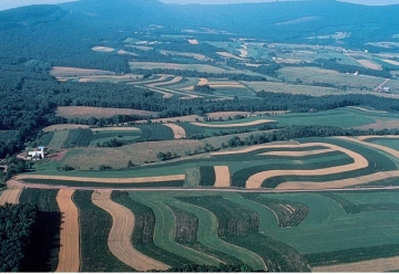 <strong> The strips of farmland in this region are used to</strong> A)reduce wind erosion. B)reduce water erosion. C)irrigate the fields. D)confuse insect pests.
